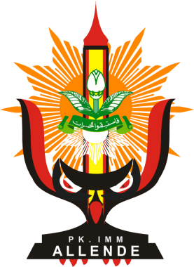 Logo IMM Allende