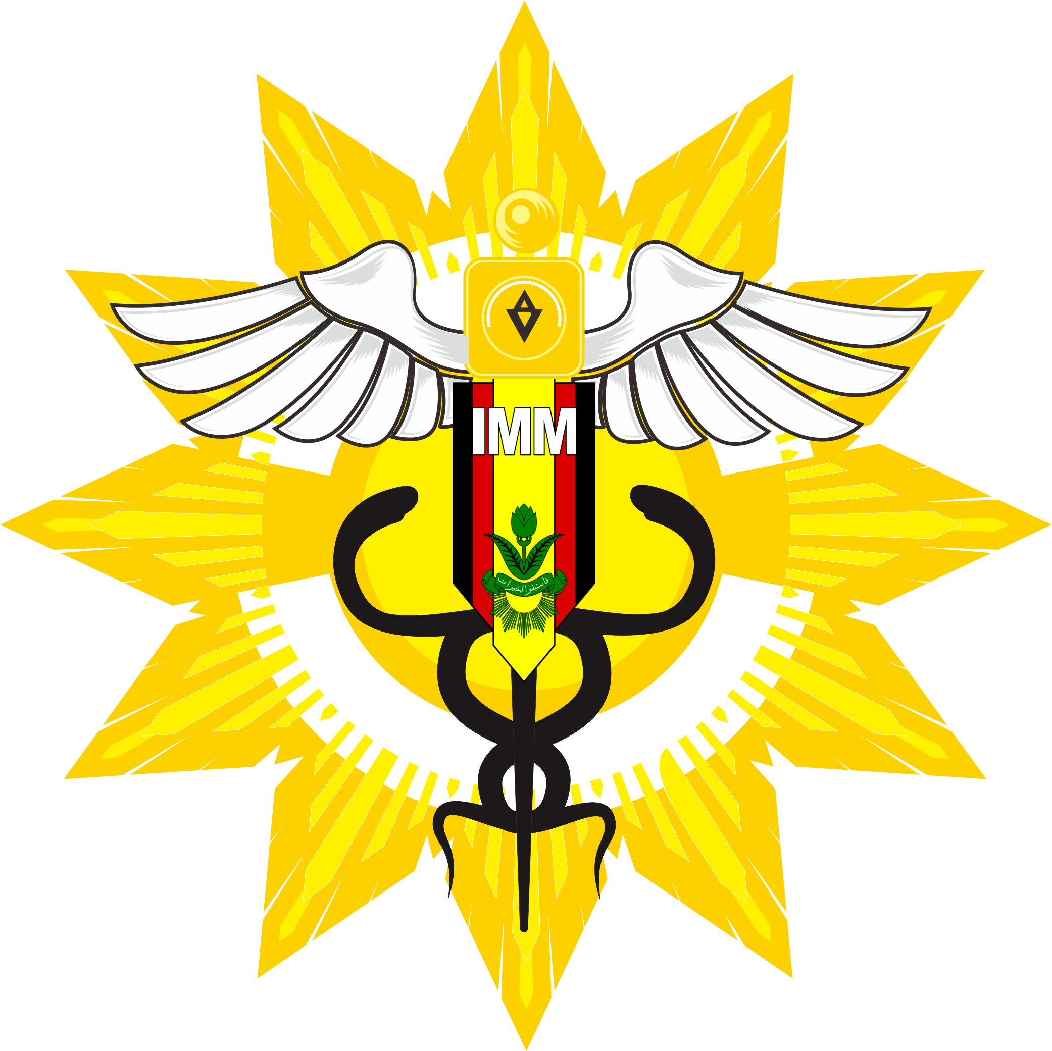 Logo IMM Avicenna