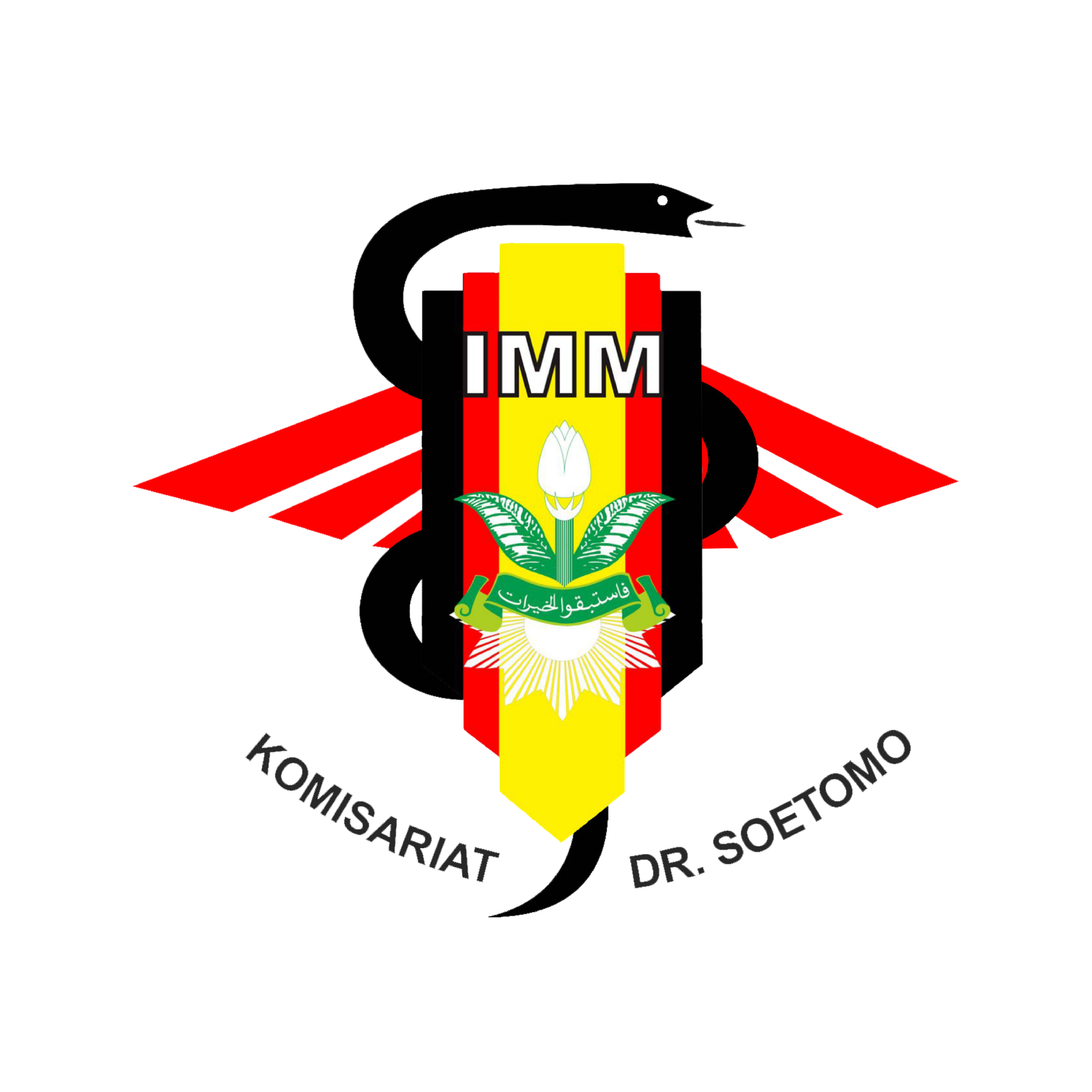 Logo IMM dr Soetomo